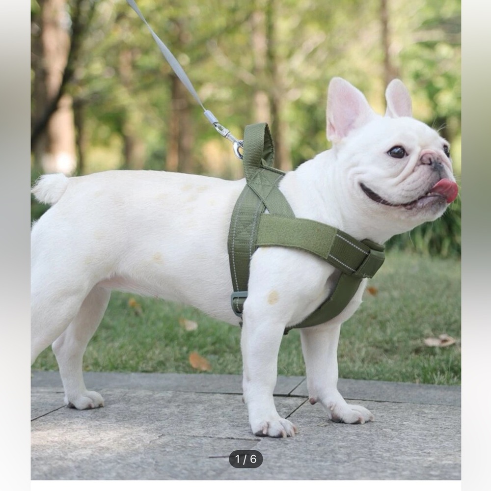 Dog reflective harness in green is big so is not for a frenchie